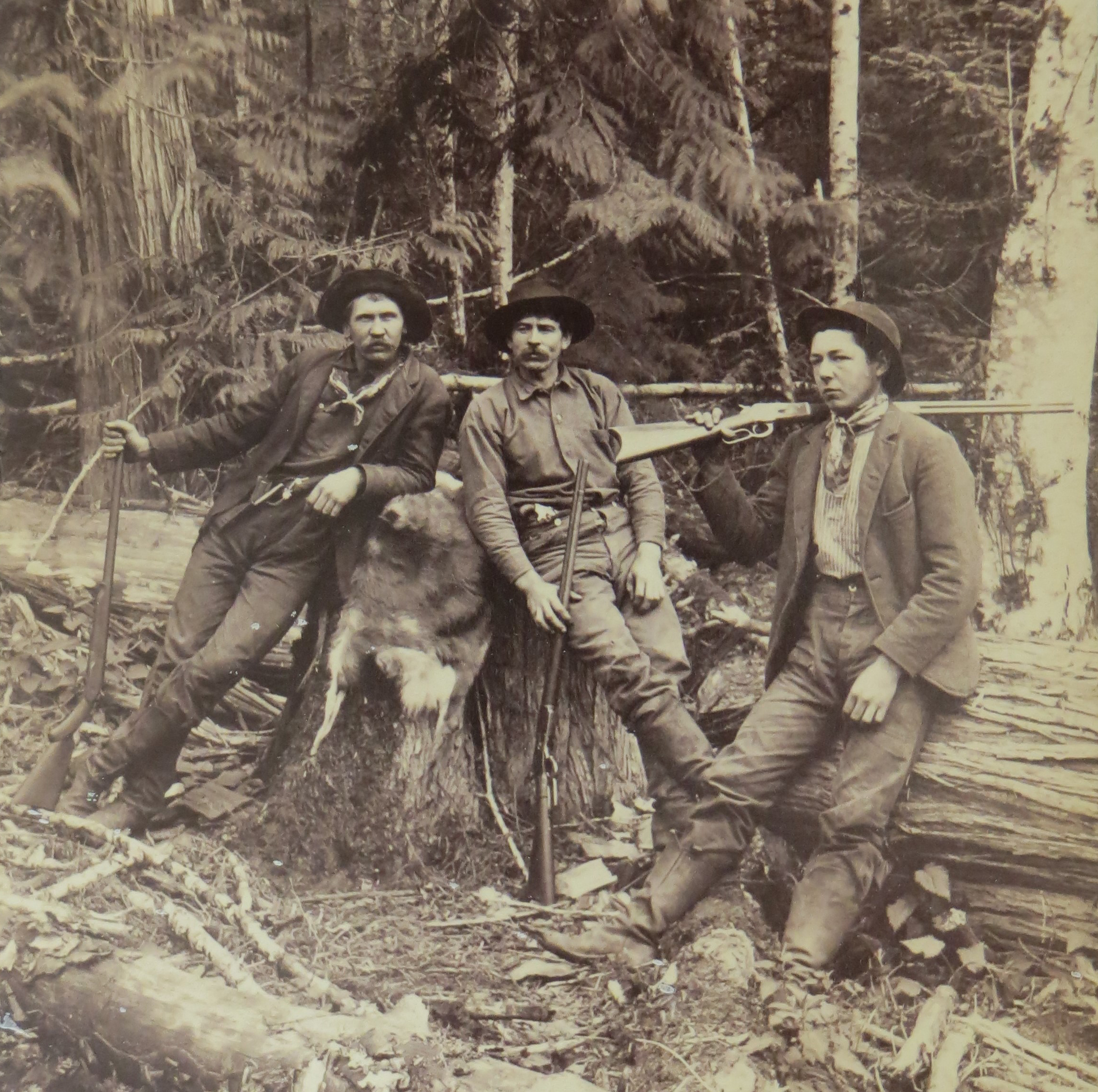 Tree hunting men with rifles in North American woods